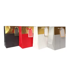 BOLSA DE REGALO MITAD UNICOLOR