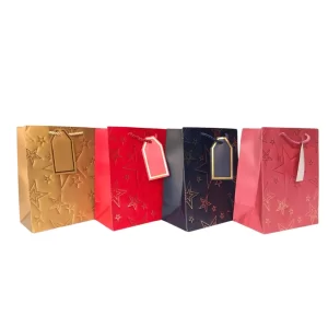 BOLSA DE REGALO RELIEVE ESTRELLAS