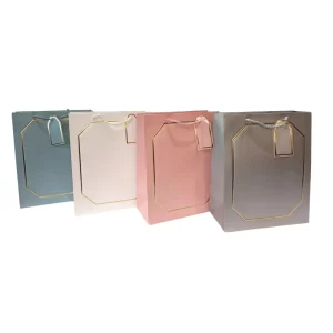 BOLSA DE REGALO BORDE DORADO