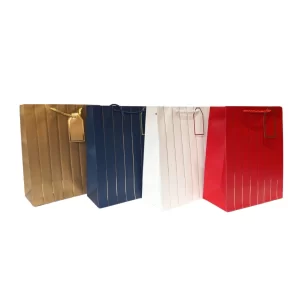 BOLSA DE REGALO LINEAS UNICOLOR